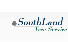 Tree Service Sandy Springs