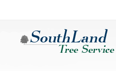 Tree Service Norcross